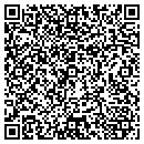 QR code with Pro Site Server contacts