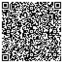 QR code with Public Transit contacts