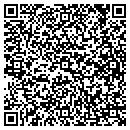 QR code with Celes King III Pool contacts