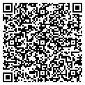 QR code with Pacitt contacts