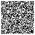QR code with Licona contacts