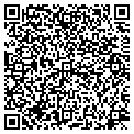 QR code with Netfo contacts