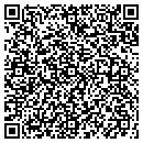 QR code with Process Impact contacts