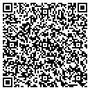 QR code with Public Storage contacts