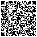 QR code with Print It Inc contacts