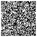 QR code with Sylvin Painting Inc contacts
