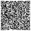 QR code with Premier Structures Inc contacts