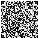 QR code with Blue Falcon Networks contacts