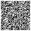 QR code with Bioanalogics contacts