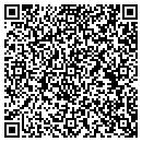 QR code with Proto Express contacts