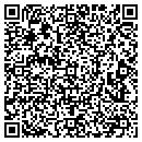 QR code with Printer Support contacts