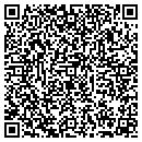 QR code with Blue Rhino Studios contacts