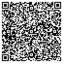 QR code with Practical Media LLC contacts