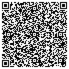 QR code with Celtic Consulting Group contacts