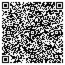 QR code with Precision Power Wash contacts