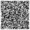 QR code with Cyber Connectics contacts