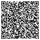 QR code with Precision Ball & Gauge contacts