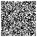QR code with Professional Dynamics contacts