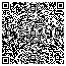 QR code with Conscious Energy LLC contacts