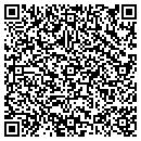 QR code with Puddletowncom LLC contacts