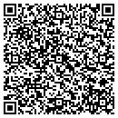 QR code with Precision Pointing contacts