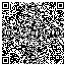 QR code with Process Systems Assoc contacts