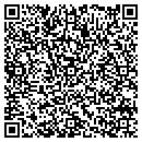 QR code with Present Idea contacts