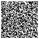 QR code with Public Storage contacts