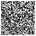 QR code with Wong S contacts