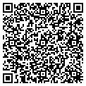 QR code with Synergy contacts