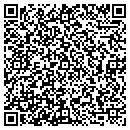 QR code with Precision Automotive contacts