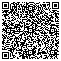 QR code with Dasil contacts