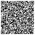 QR code with Pension & Insurance Inc contacts