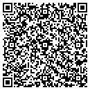QR code with Professional Towing contacts