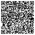 QR code with Shell contacts