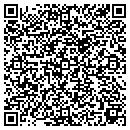 QR code with Brizendine Consulting contacts