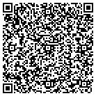 QR code with Pulse DJ Productions contacts