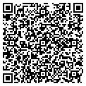 QR code with Cocaan contacts