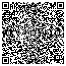 QR code with Crystal Clear Service contacts
