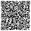QR code with Netime contacts