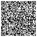 QR code with City Garbage Service contacts