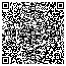 QR code with Public Utilities Co contacts