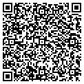 QR code with Litek contacts