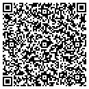 QR code with Precision Artists contacts