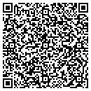 QR code with Precise Painting contacts