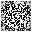 QR code with Problem Solver contacts