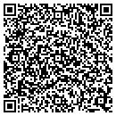 QR code with Public Storage contacts