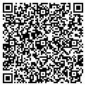 QR code with Wasabi contacts