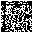 QR code with Cybernetics Corp Int contacts