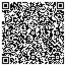 QR code with Terra Survey contacts
